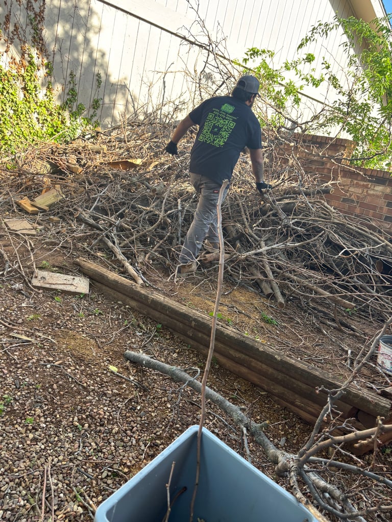 Man in dark shirt raking branches and garden debris into a blue wheelbarrow outdoors
