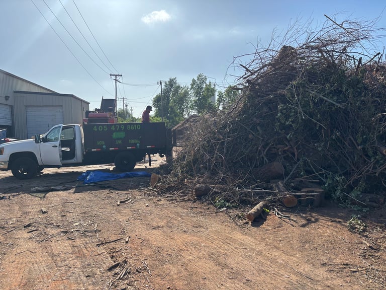 White dump truck loaded with yard waste and branches on a dusty lot